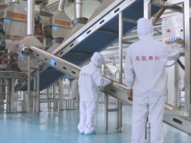 2025年的第一個(gè)月，承德亞歐果仁有限公司在山杏產(chǎn)業(yè)的道路上持續(xù)奮進(jìn)，展現(xiàn)出蓬勃的發(fā)展活力。